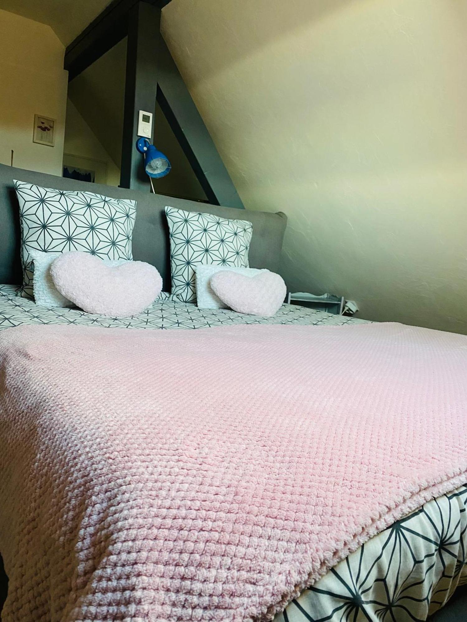 Les Appartements D'Estelle Ла Петит-Пиер Екстериор снимка