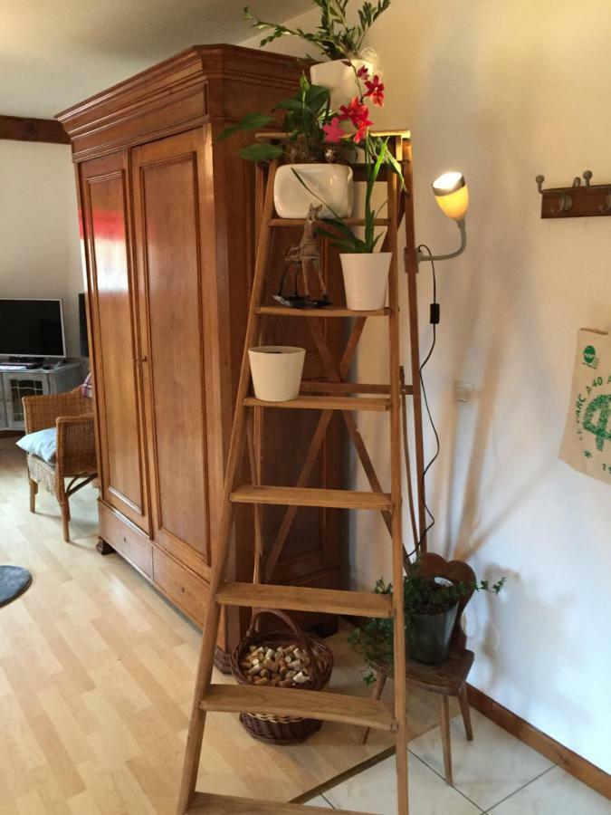 Les Appartements D'Estelle Ла Петит-Пиер Екстериор снимка